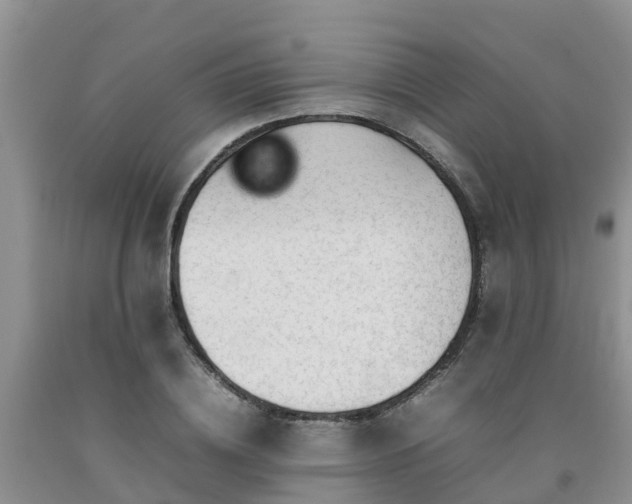 X0000092060836200709191140