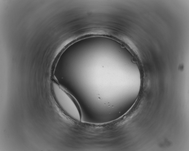 X0000092060837200709191140