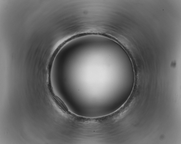 X0000092060838200709191140