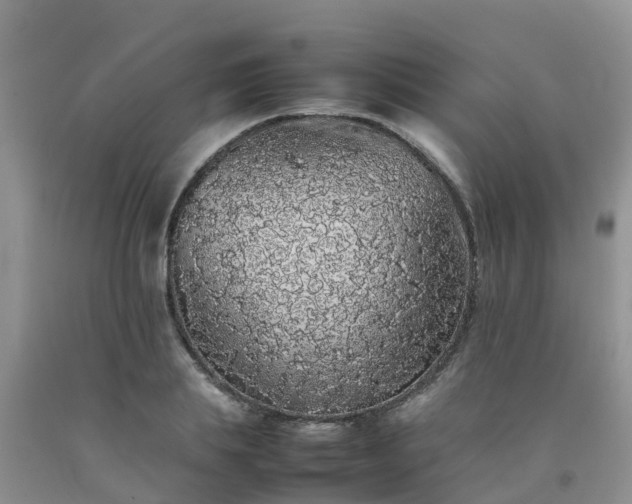 X0000092060839200709191140