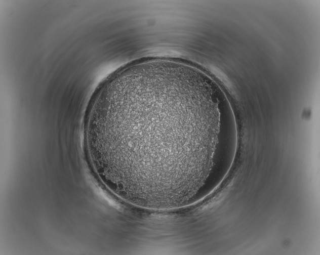 X0000092060840200709191140