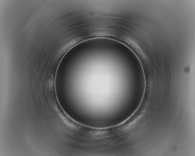 X0000092060841200709191140