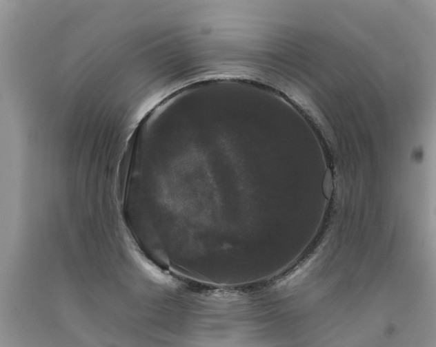 X0000092060842200709191140