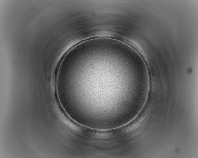 X0000092060843200709191140