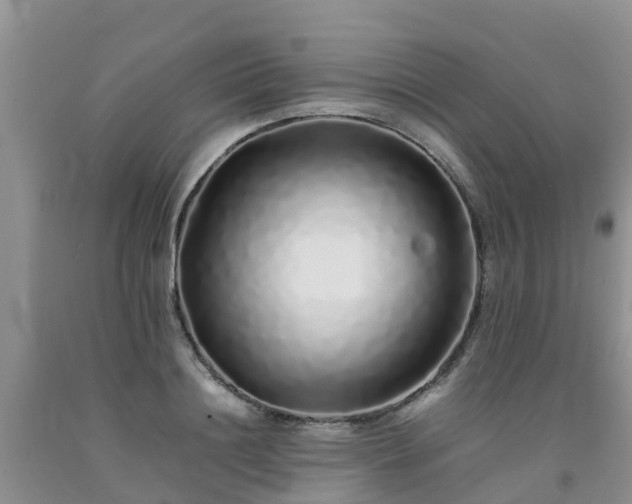 X0000092060844200709191140