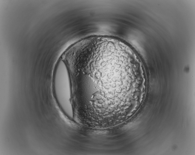 X0000092060845200709191140