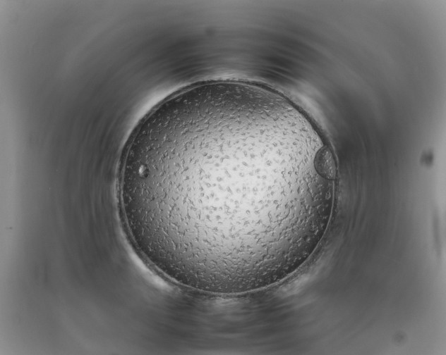 X0000092060847200709191140