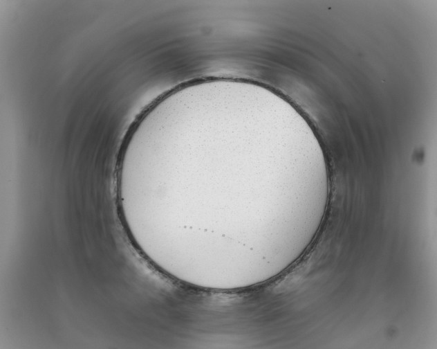 X0000092060848200709191140