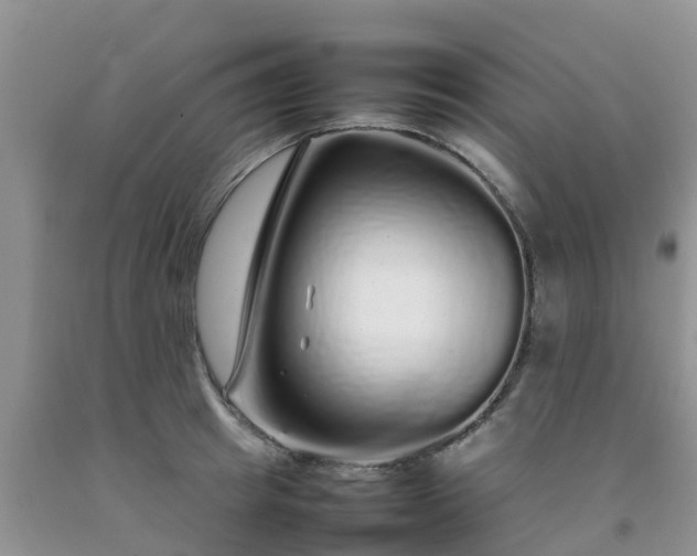 X0000092060849200709191140