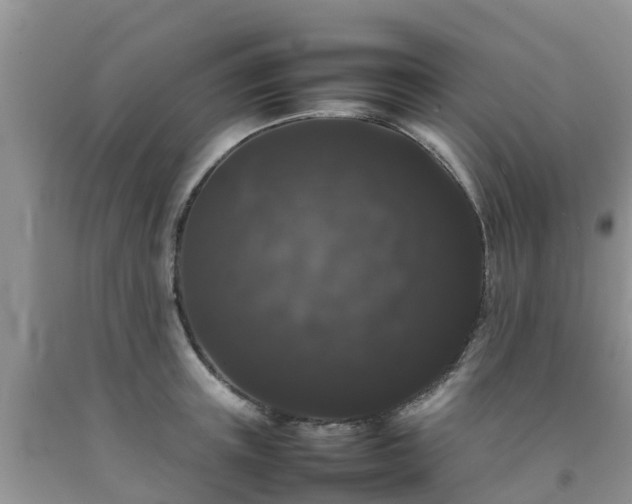 X0000092060851200709191140