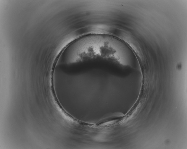 X0000092060853200709191140