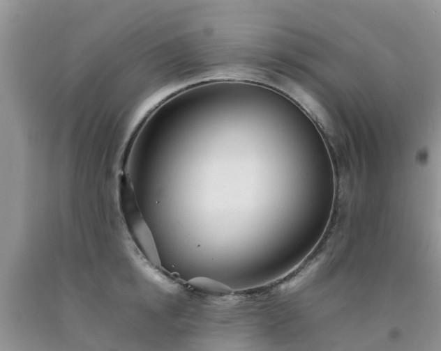 X0000092060854200709191140