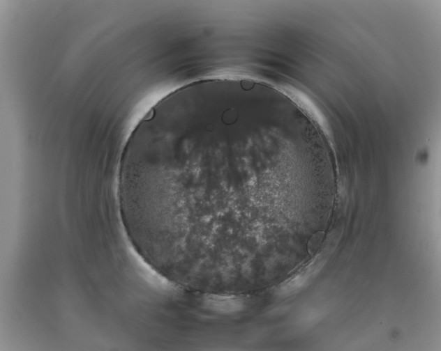 X0000092060855200709191140