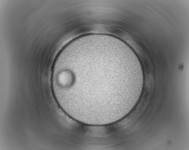 X0000092060856200709191140