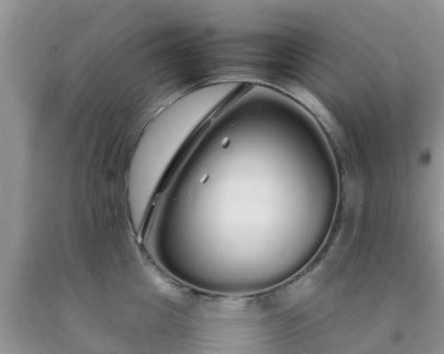 X0000092060857200709191140