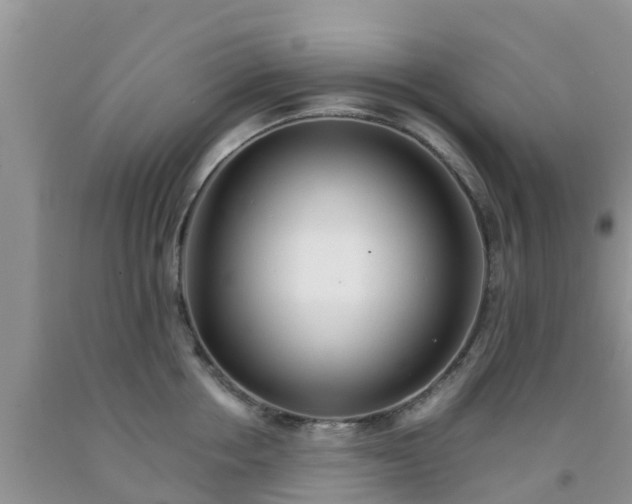 X0000092060858200709191140