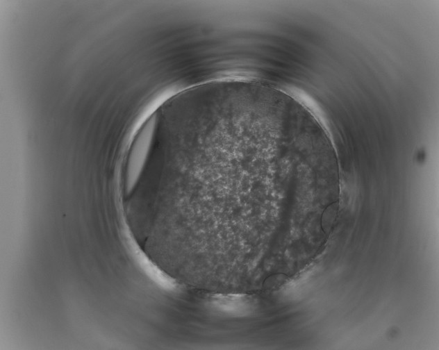 X0000092060859200709191140