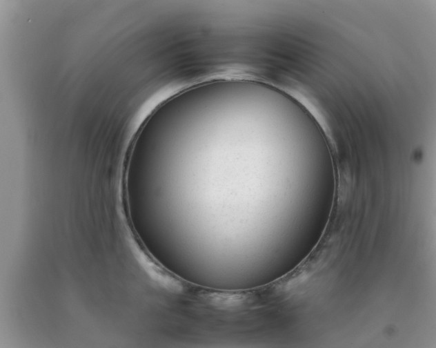 X0000092060861200709191140