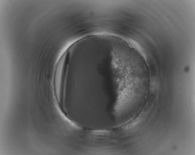 X0000092060863200709191140