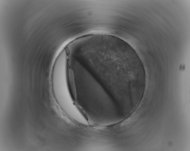 X0000092060864200709191140