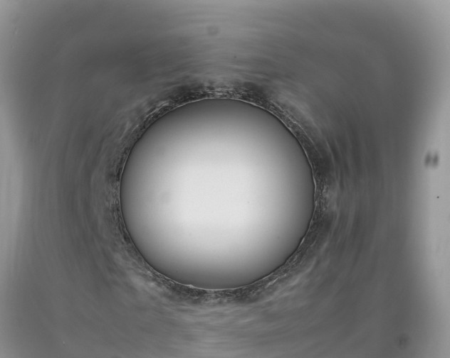 X0000092060865200709191139