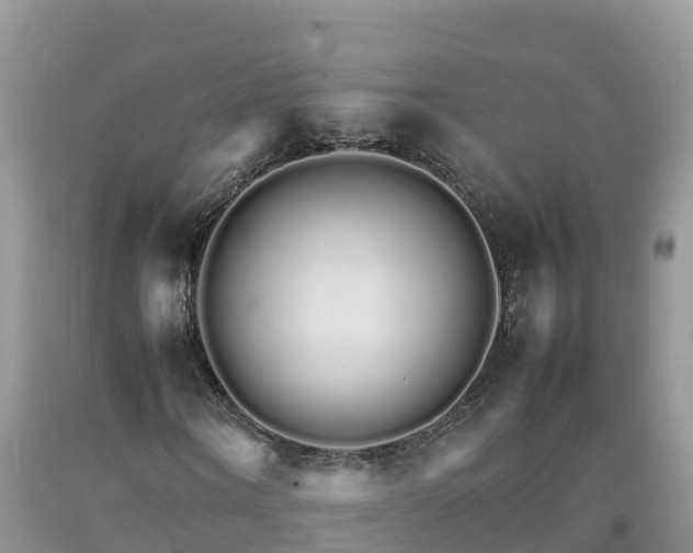 X0000092060866200709191139