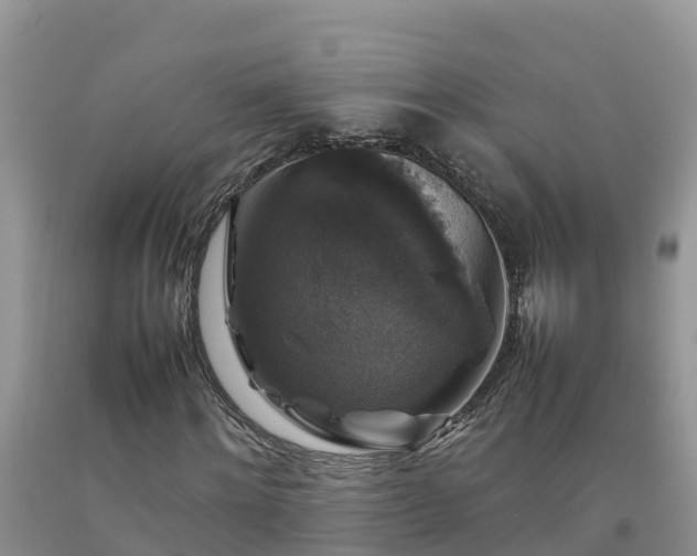 X0000092060868200709191139