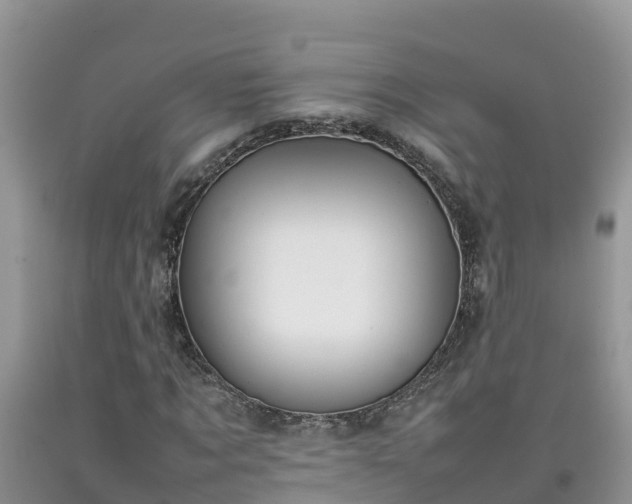 X0000092060869200709191139