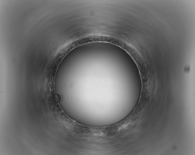 X0000092060870200709191139