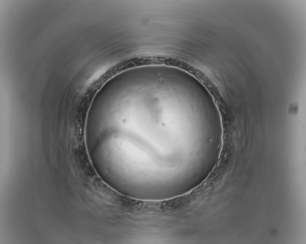 X0000092060871200709191139