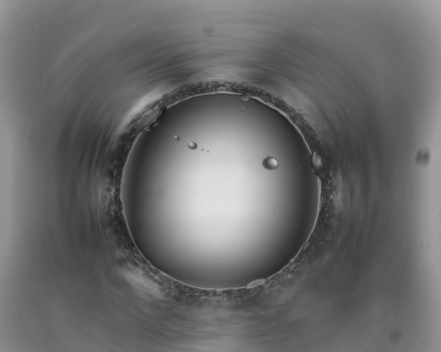 X0000092060872200709191139