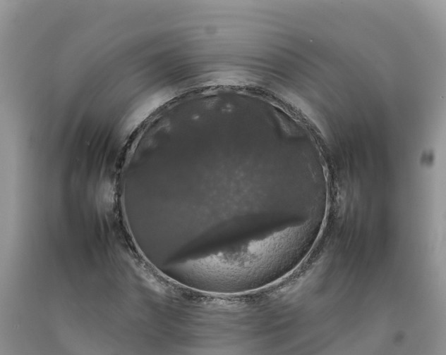 X0000092060874200709191139