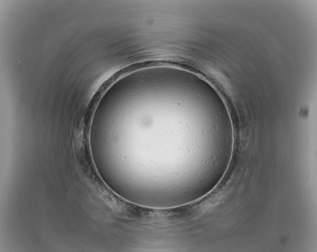 X0000092060875200709191139