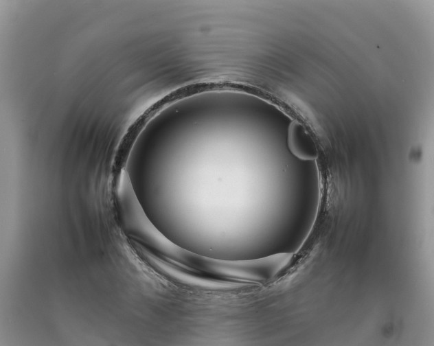 X0000092060876200709191139