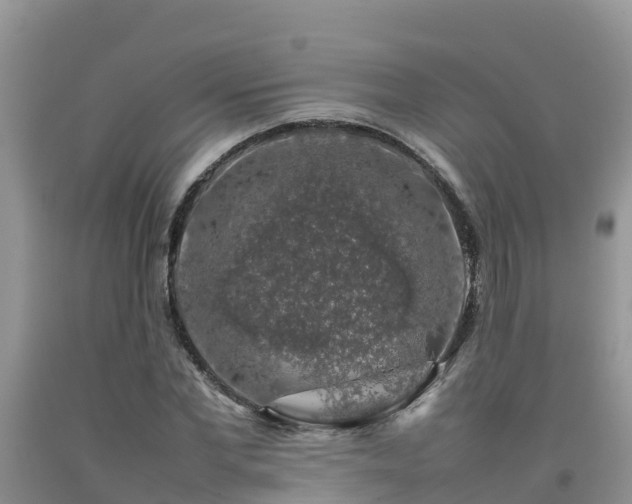 X0000092060877200709191139