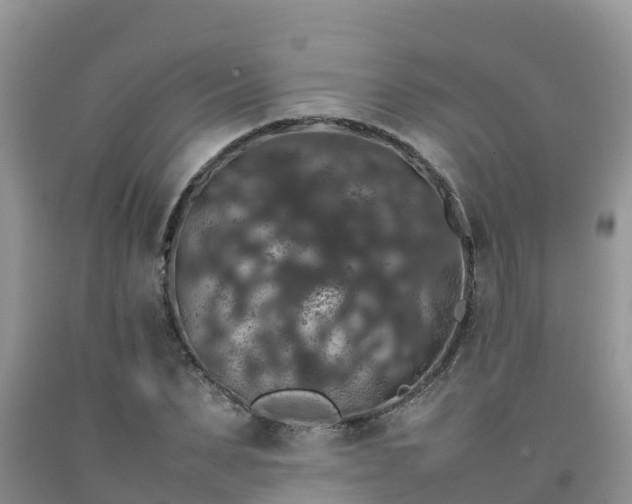 X0000092060879200709191139