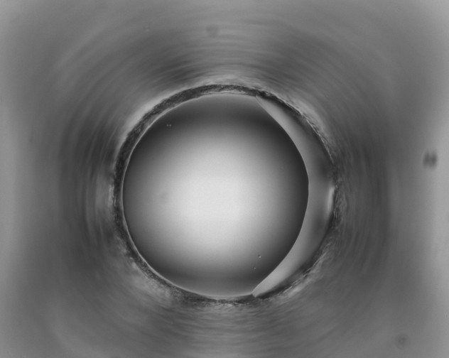 X0000092060880200709191139