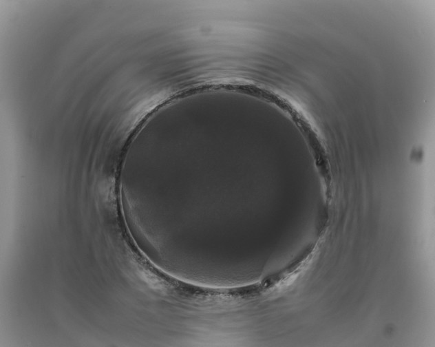 X0000092060881200709191139