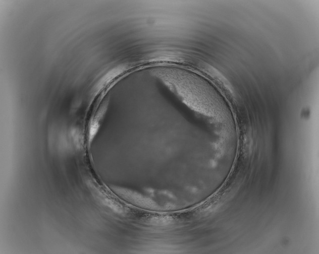 X0000092060882200709191139