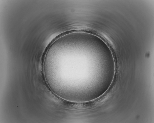 X0000092060883200709191139