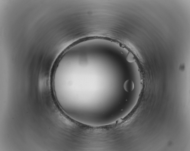 X0000092060884200709191139