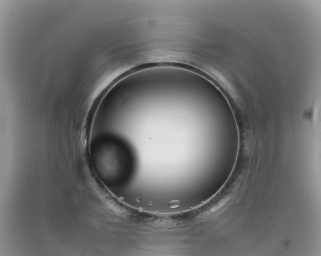 X0000092060885200709191139