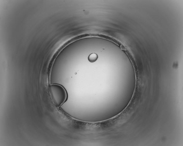 X0000092060887200709191139