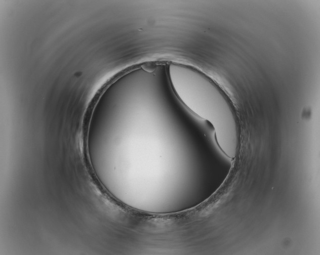 X0000092060888200709191139