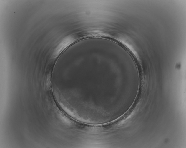 X0000092060889200709191139