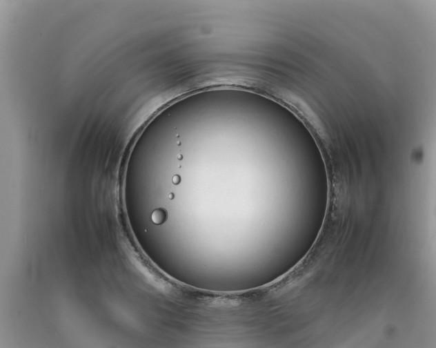 X0000092060890200709191139