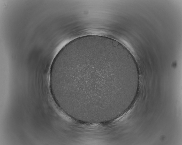 X0000092060891200709191139