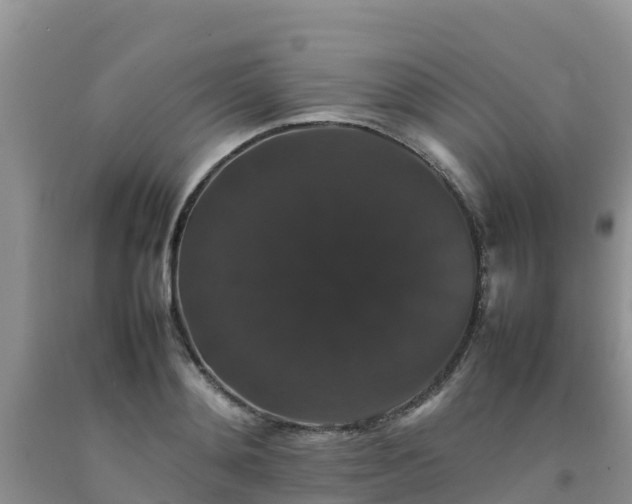 X0000092060892200709191139