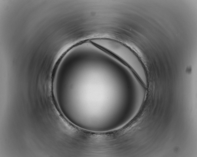 X0000092060894200709191139