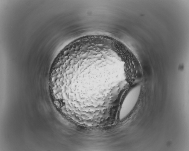 X0000092060895200709191139